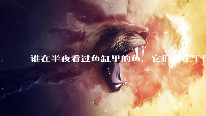 谁在半夜看过鱼缸里的鱼，它们都在干什么？