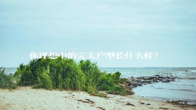 你理想中的完美户型长什么样？