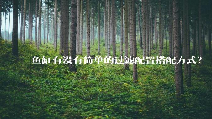 鱼缸有没有简单的过滤配置搭配方式？