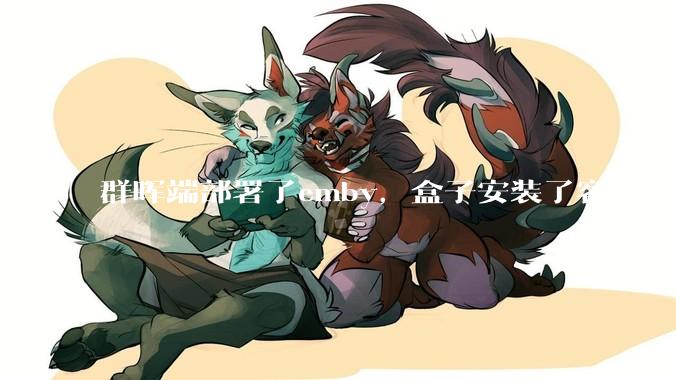 群晖端部署了emby，盒子安装了客户端播放蓝光电影为什么不能显示影片自带字幕？